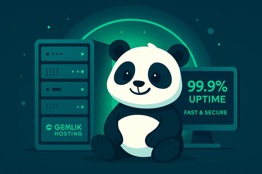 Web Hosting Nedir? Neden Gemlik Hosting Tercih Edilmeli?